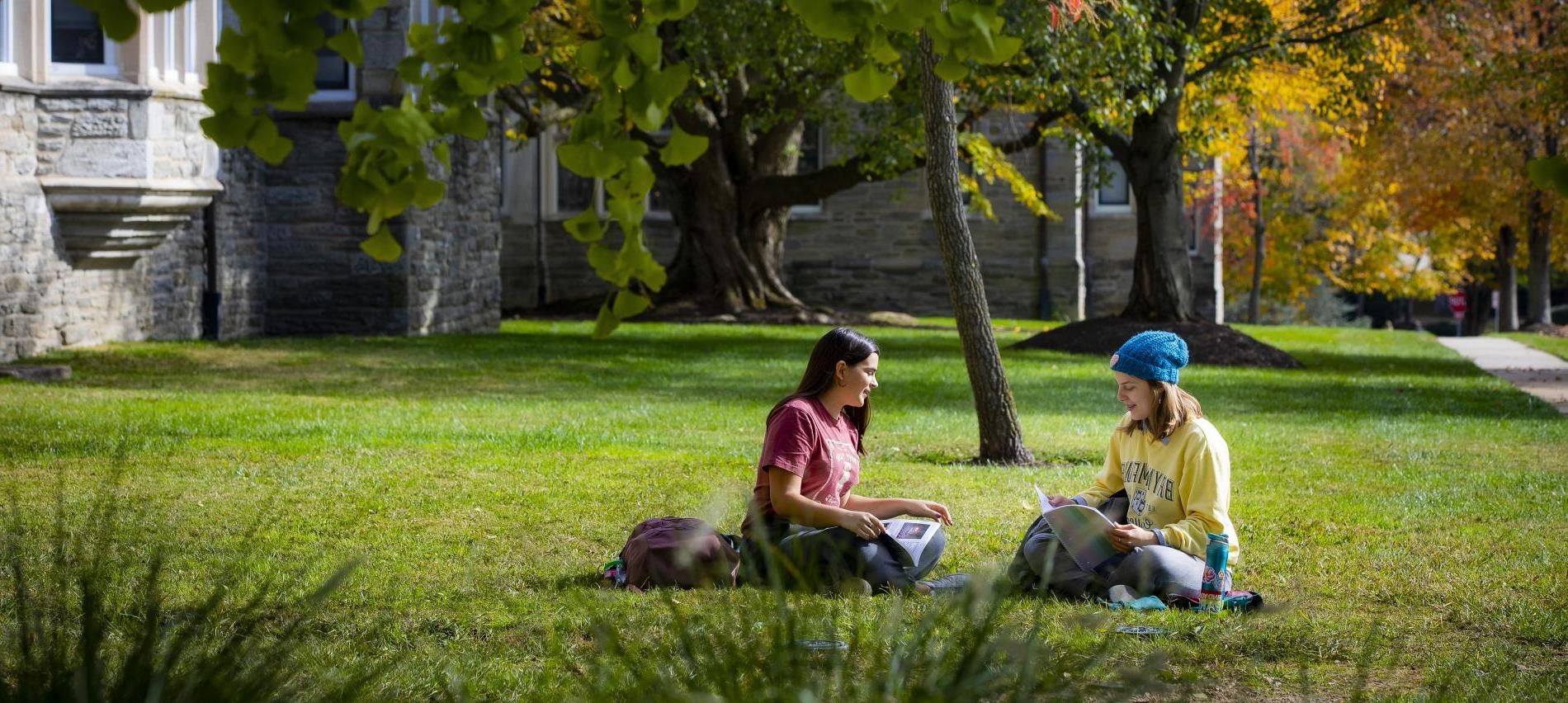 学生们坐在草地上学习